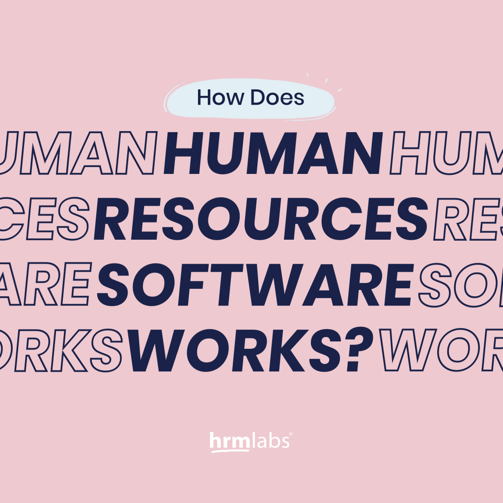How Does HR Software Works?